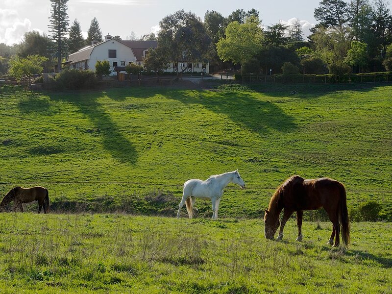 Los Altos Hills concrete resurfacing